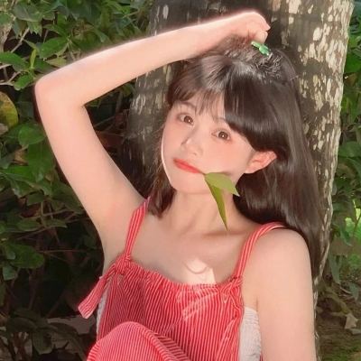 波克大冒险破解版下载